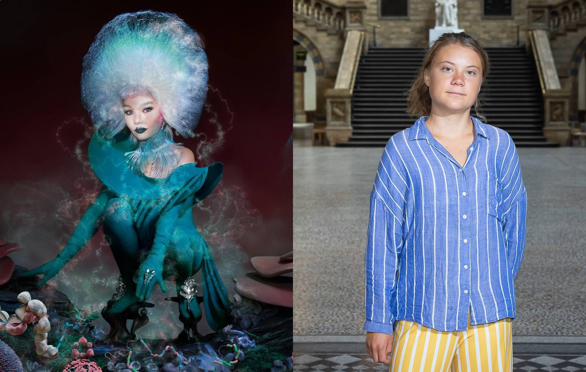 Björk y Greta Thunberg en una conversación: "Tenemos que turnarnos para sostener la antorcha"