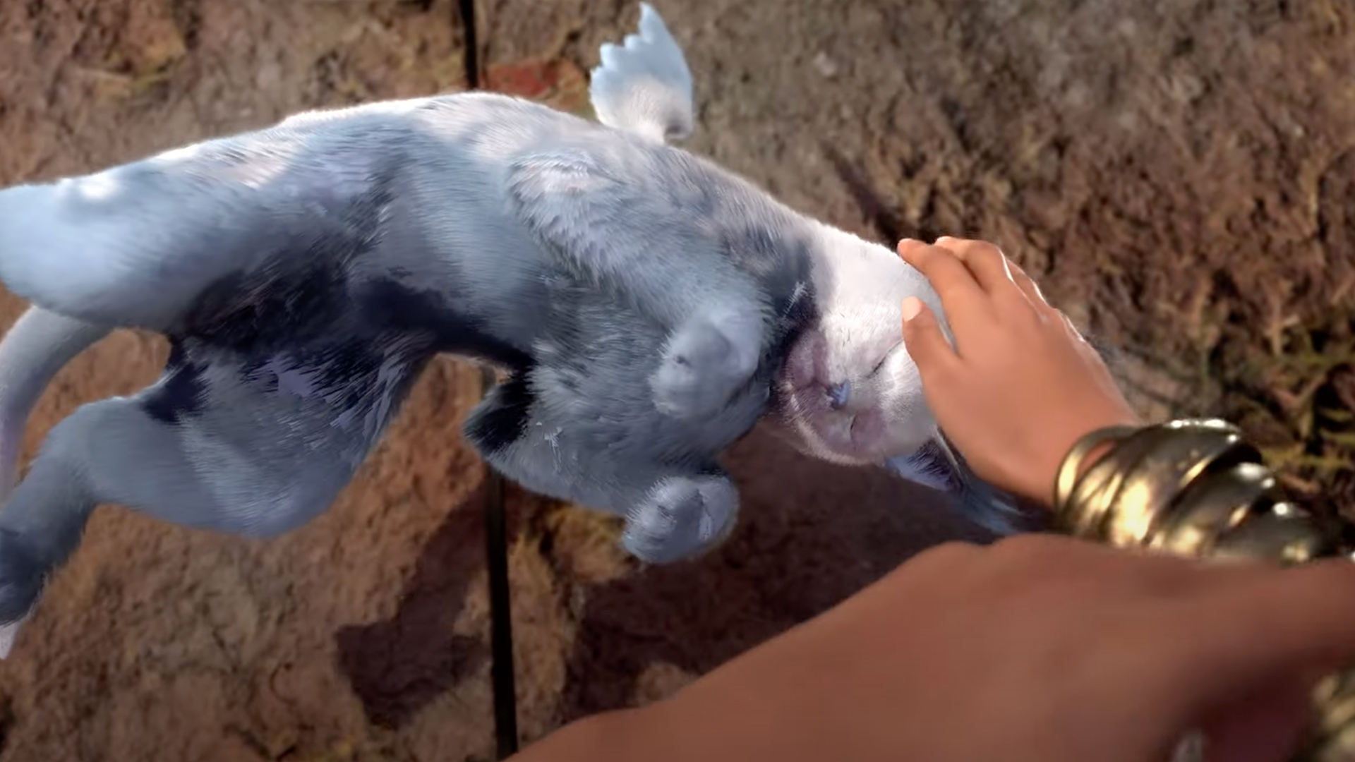 Forspoken te permitirá acariciar gatos voladores