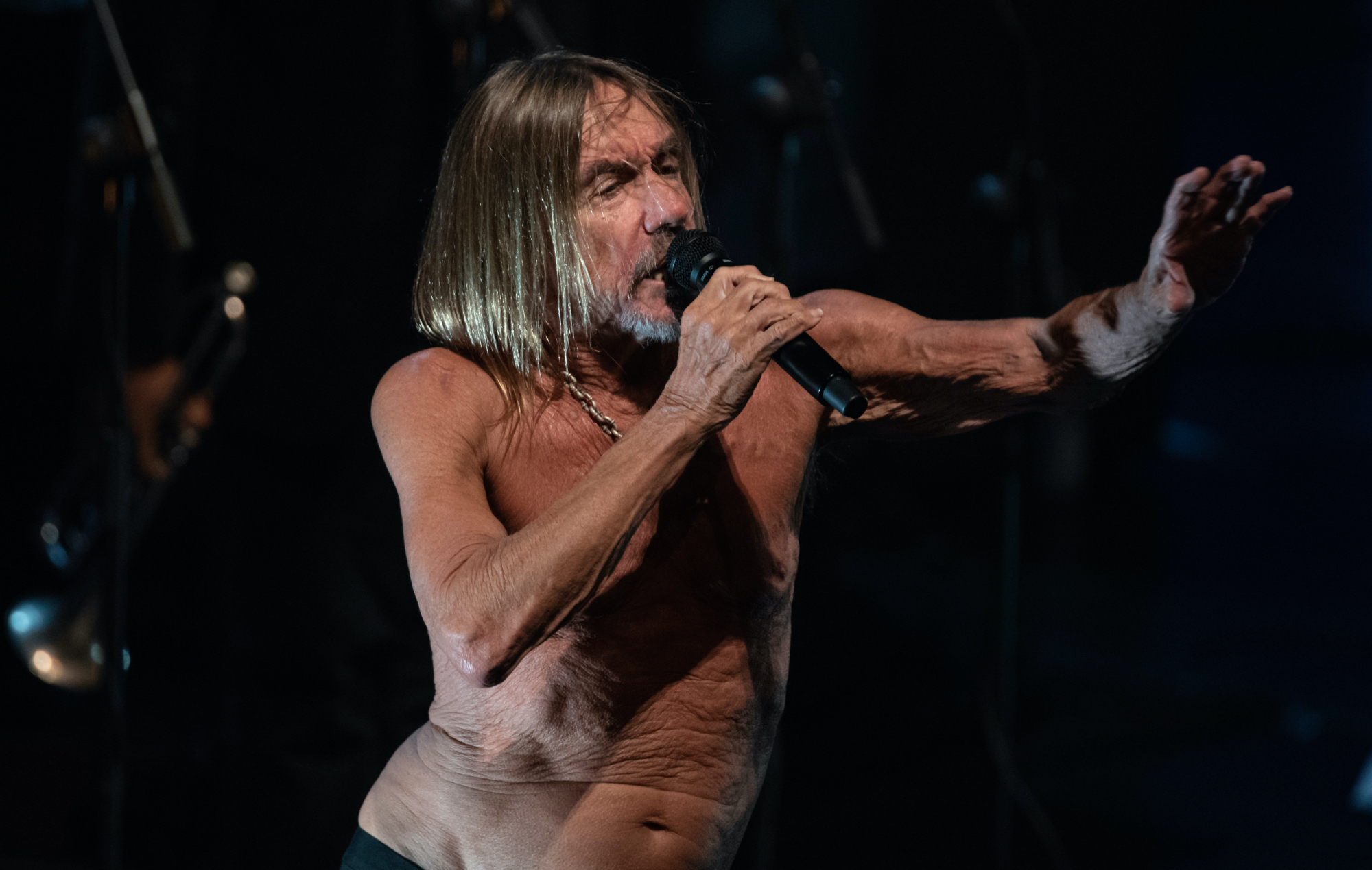 Iggy Pop anuncia un espectáculo al aire libre en Londres para el próximo verano