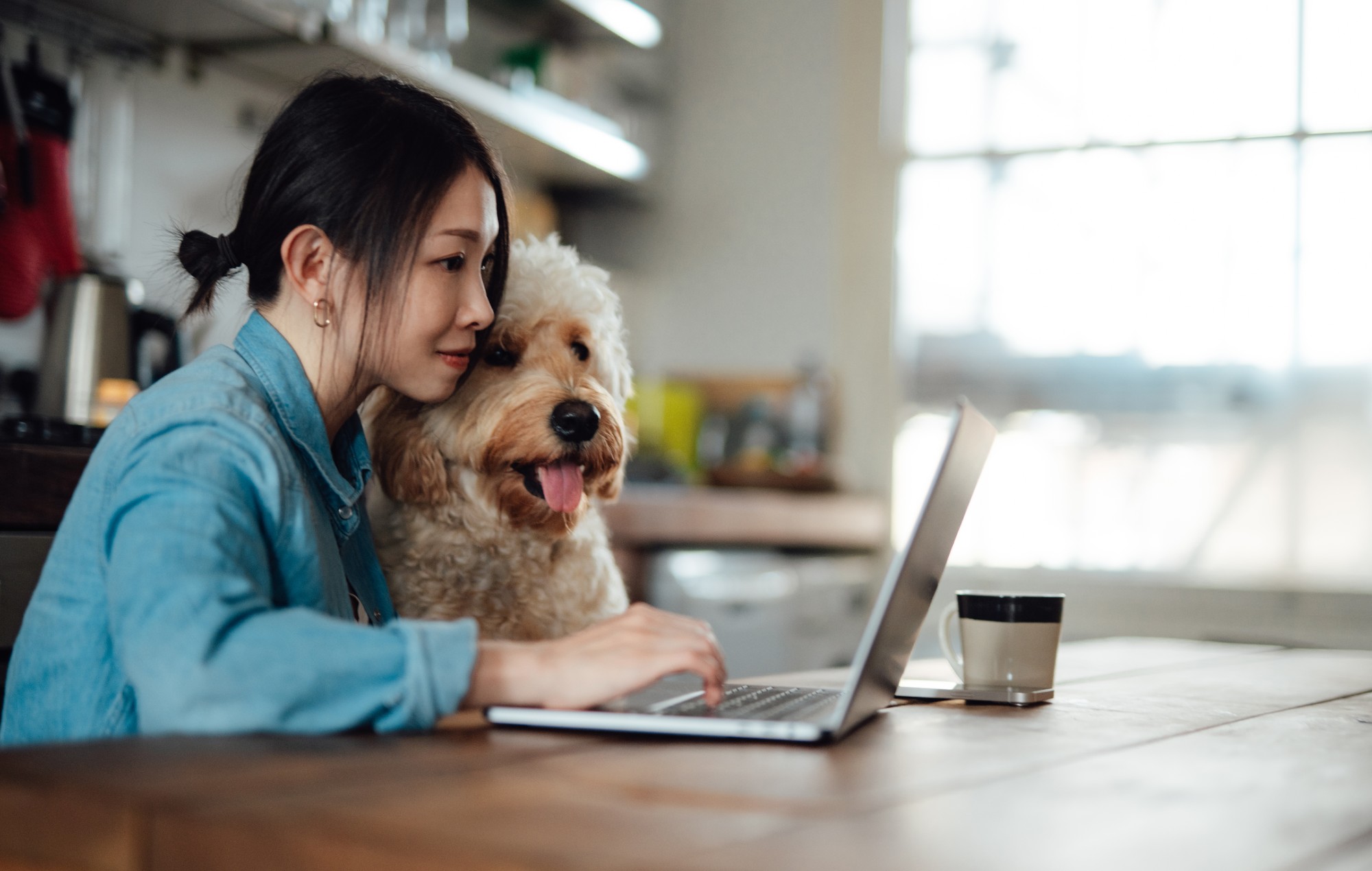 La empresa británica Joipaw crea videojuegos para perros