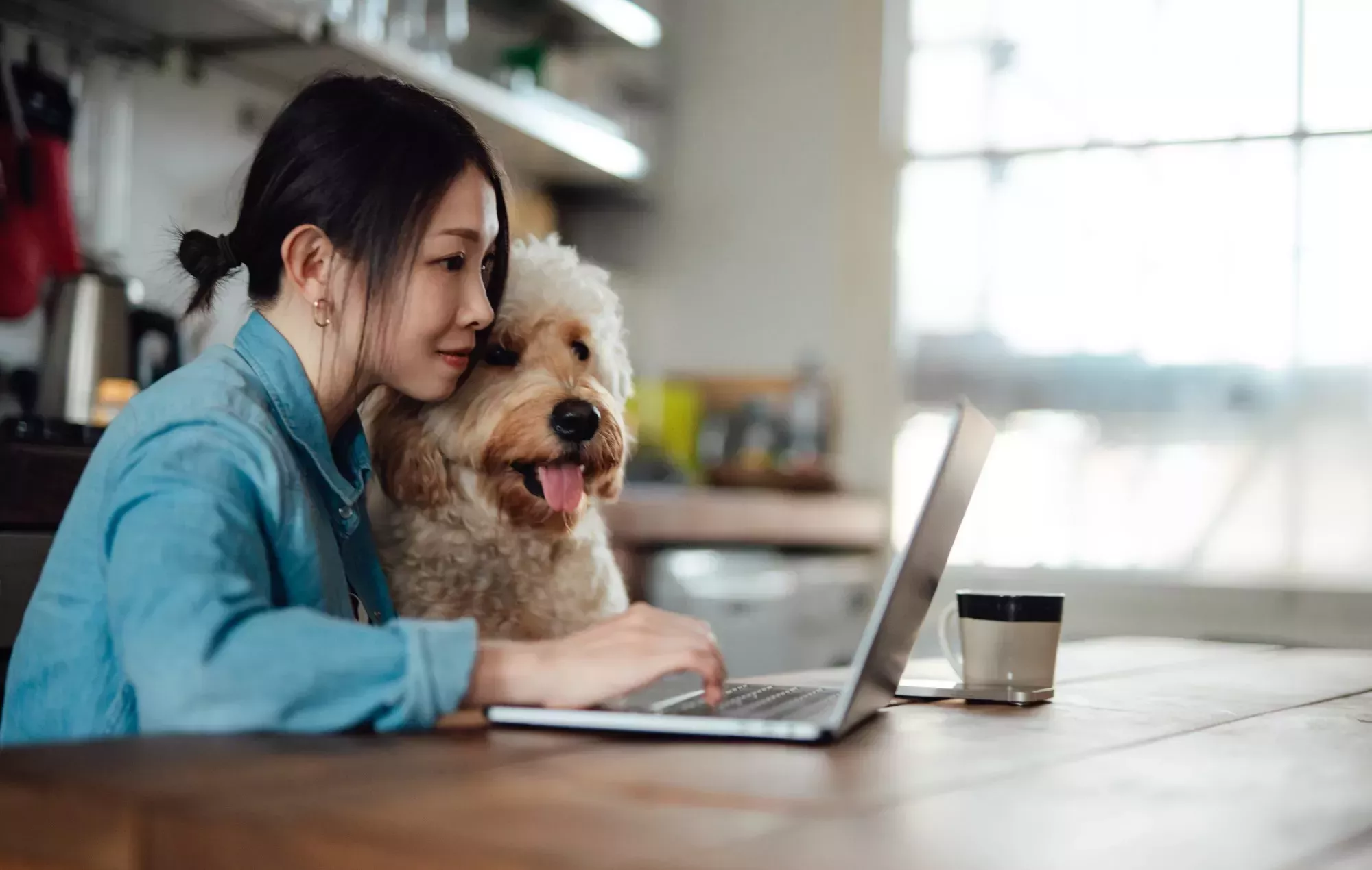 La empresa británica Joipaw crea videojuegos para perros