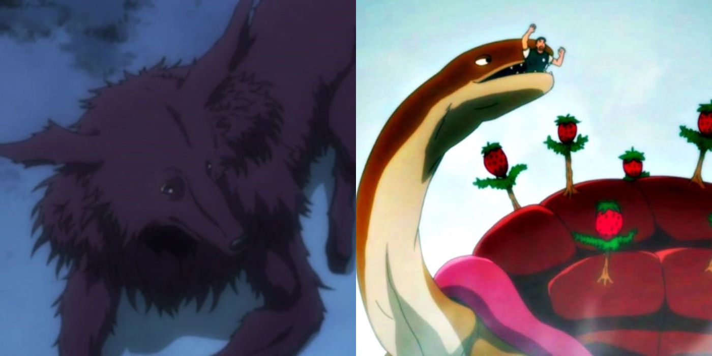 Los 10 animales más geniales de Hunter X Hunter, clasificados