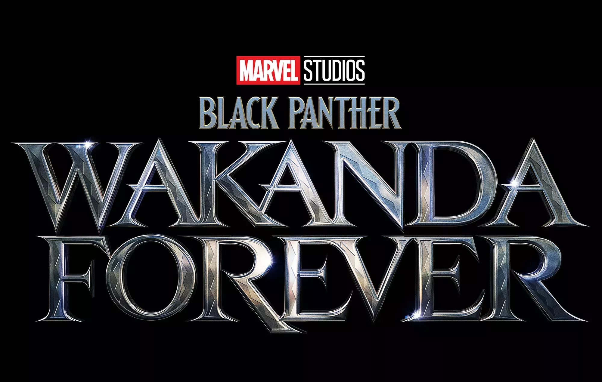 ¿Quién es Pantera Negra en 'Wakanda Forever'?
