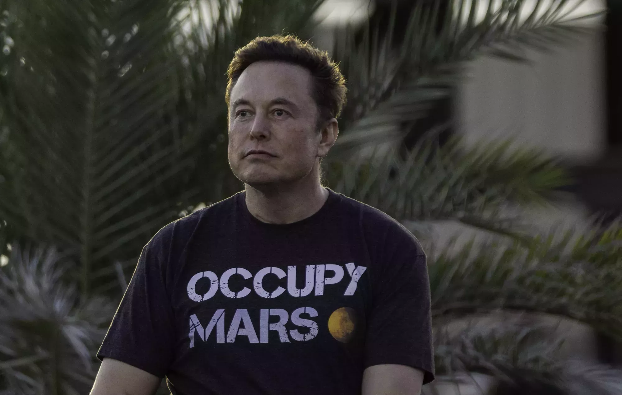 Elon Musk prohíbe en Twitter los enlaces a la red social rival Mastodon, alegando que se trata de malware
