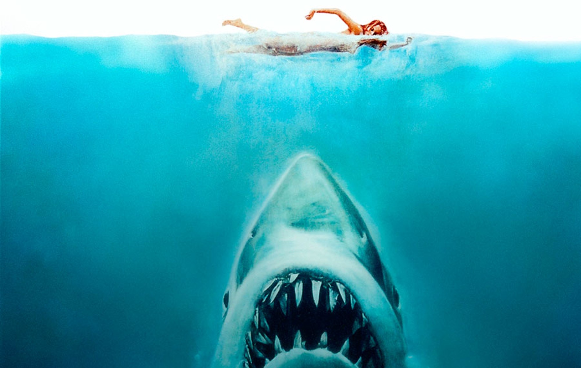 Steven Spielberg dice que "se arrepiente de verdad" de haber hecho quedar mal a los tiburones en 'Tiburón'