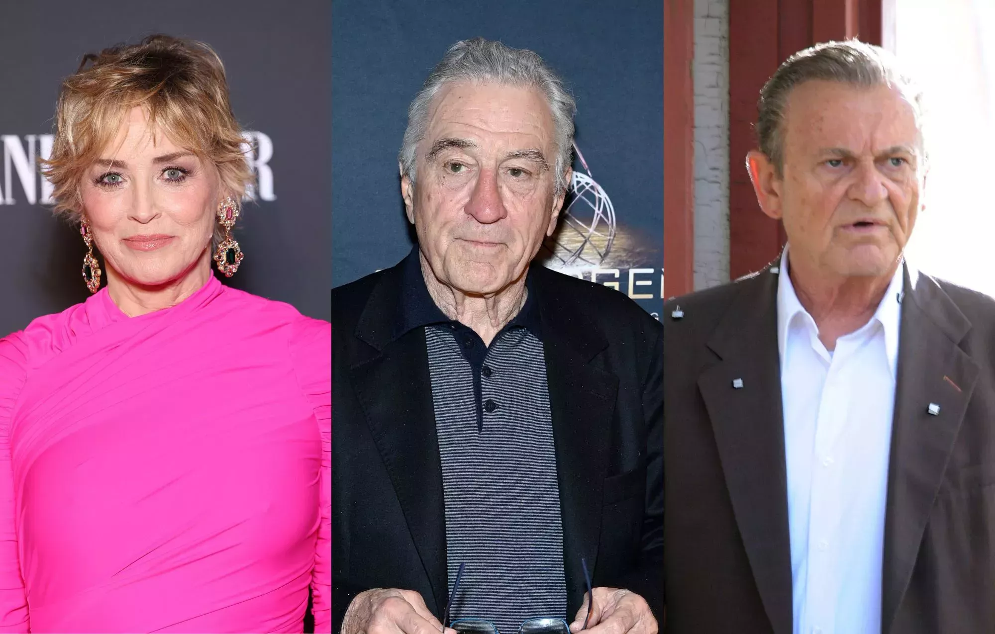 Sharon Stone dice que Robert De Niro y Joe Pesci fueron unos coprotagonistas poco frecuentes que no eran 