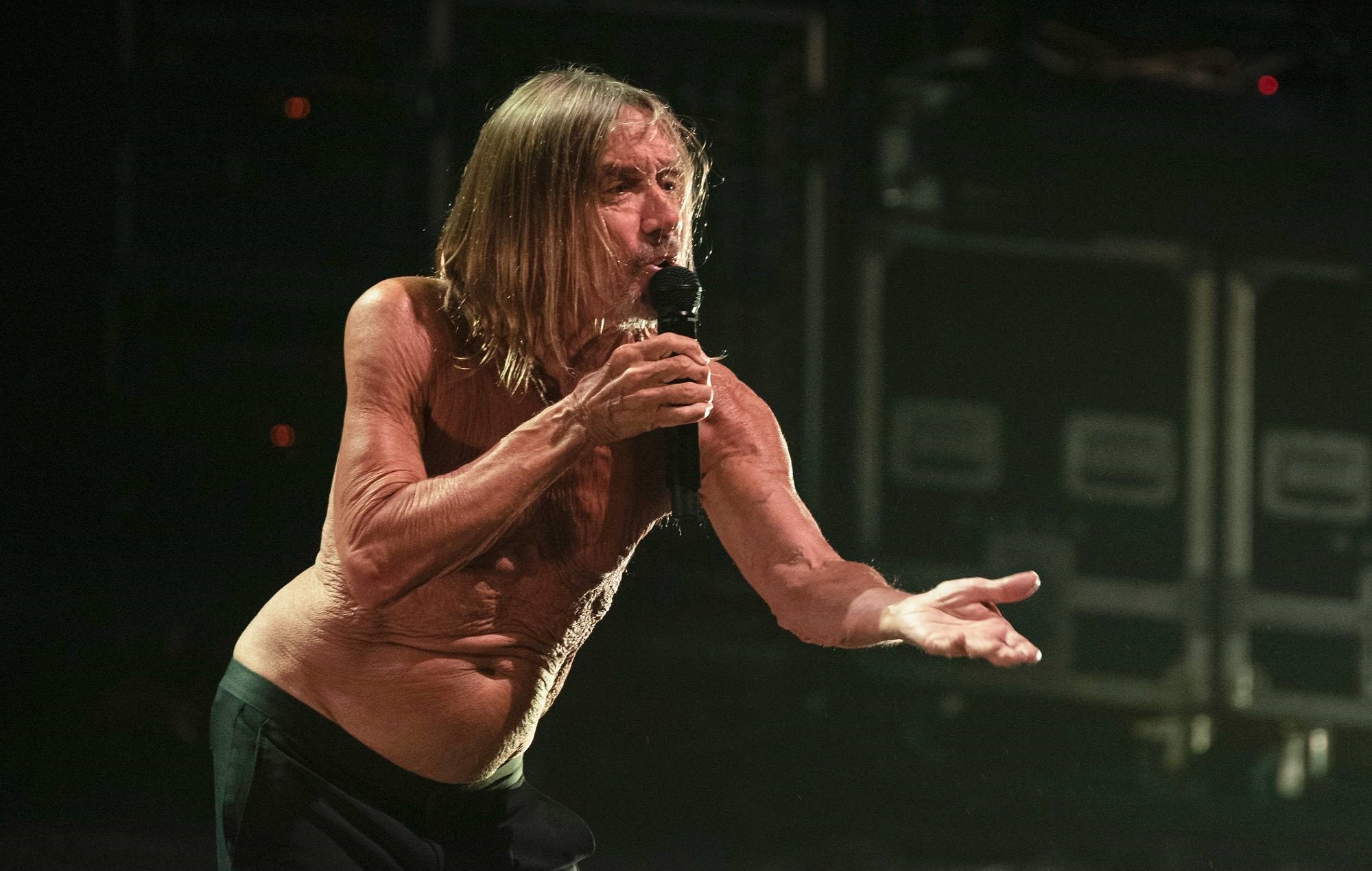 Una vez pidieron a Iggy Pop que se uniera a AC/DC: "No soy lo que necesitaban"