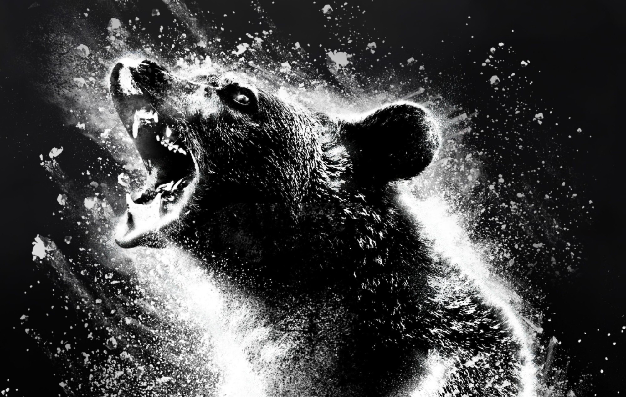 El oso de la cocaína, compañero oficial del videojuego inspirado en Pac-Man