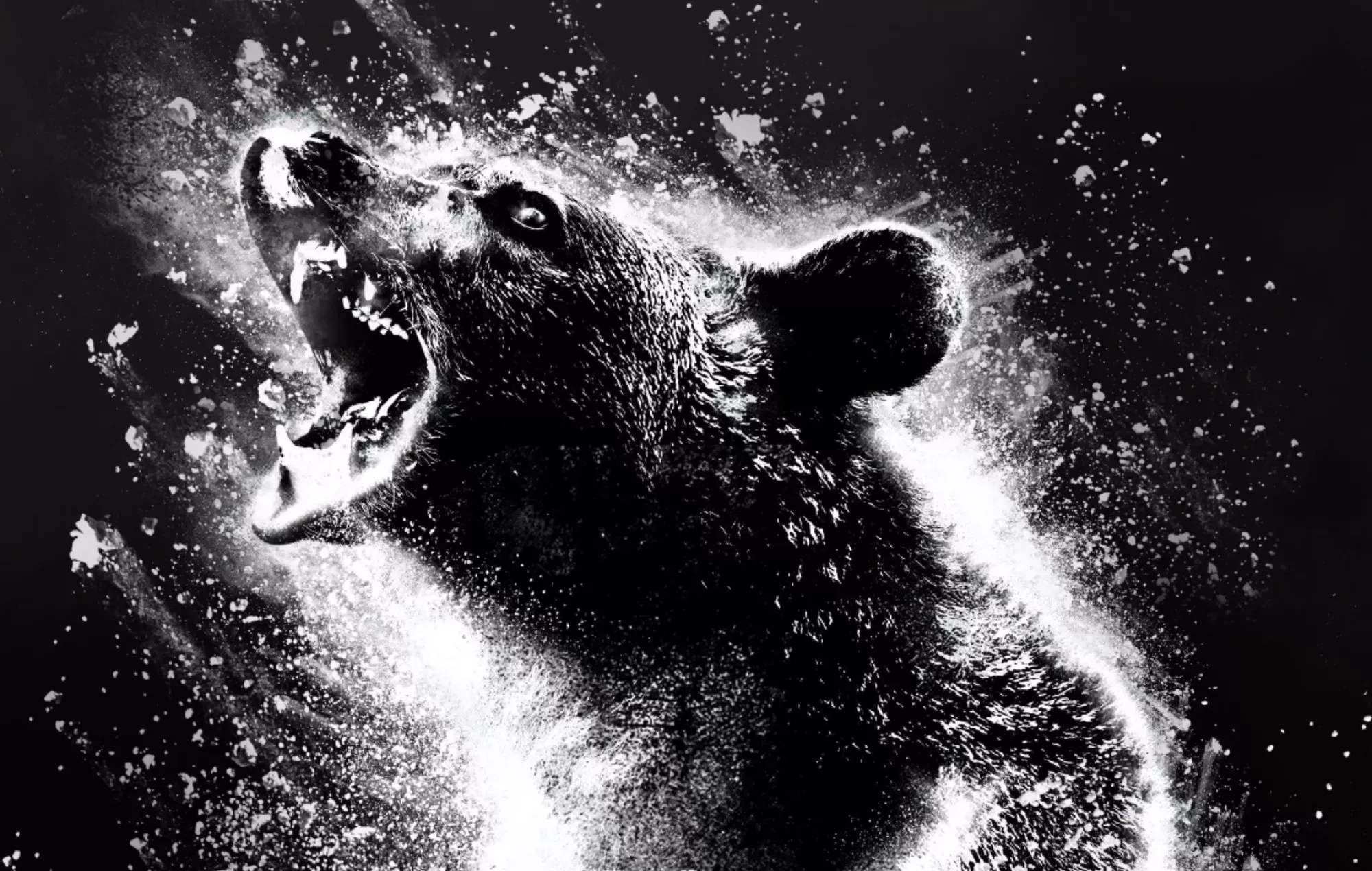 El oso de la cocaína, compañero oficial del videojuego inspirado en Pac-Man