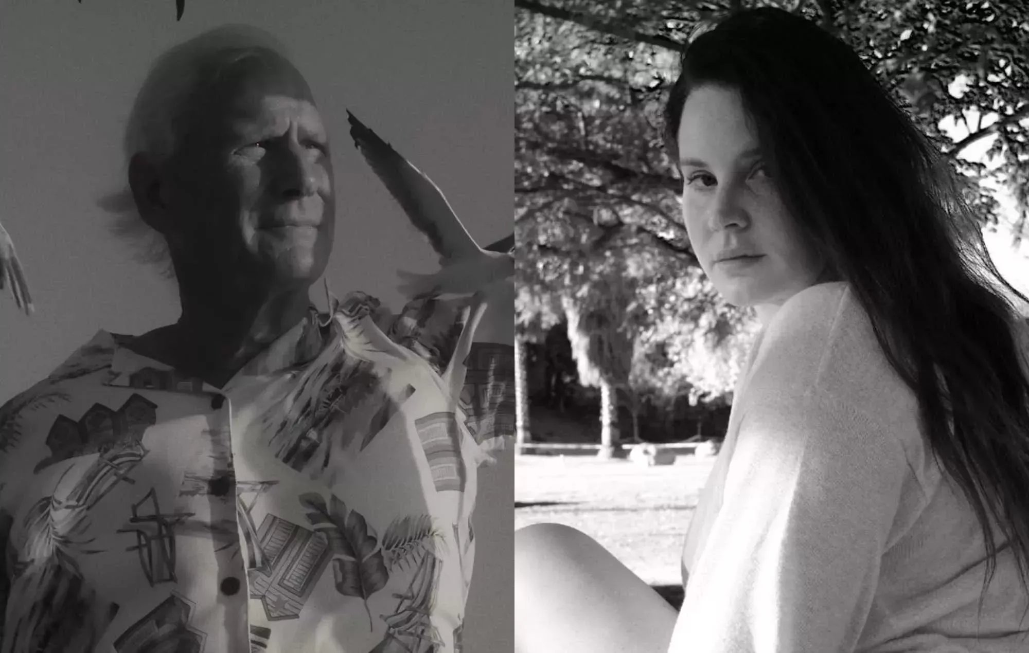 Rob Grant, padre de Lana Del Rey, anuncia su álbum de debut