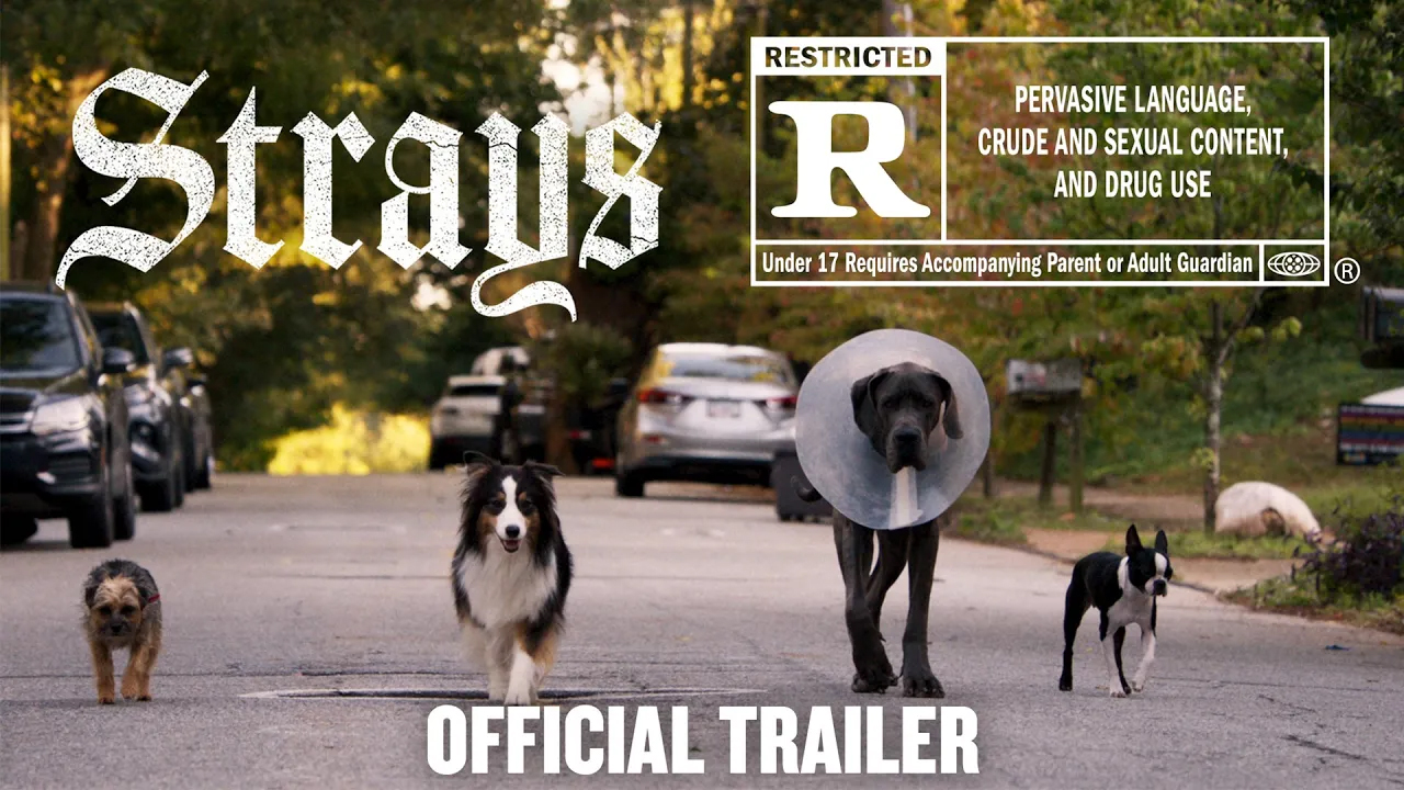 Strays Trailer vuelve a casa pero su objetivo final es morder la polla de su dueño