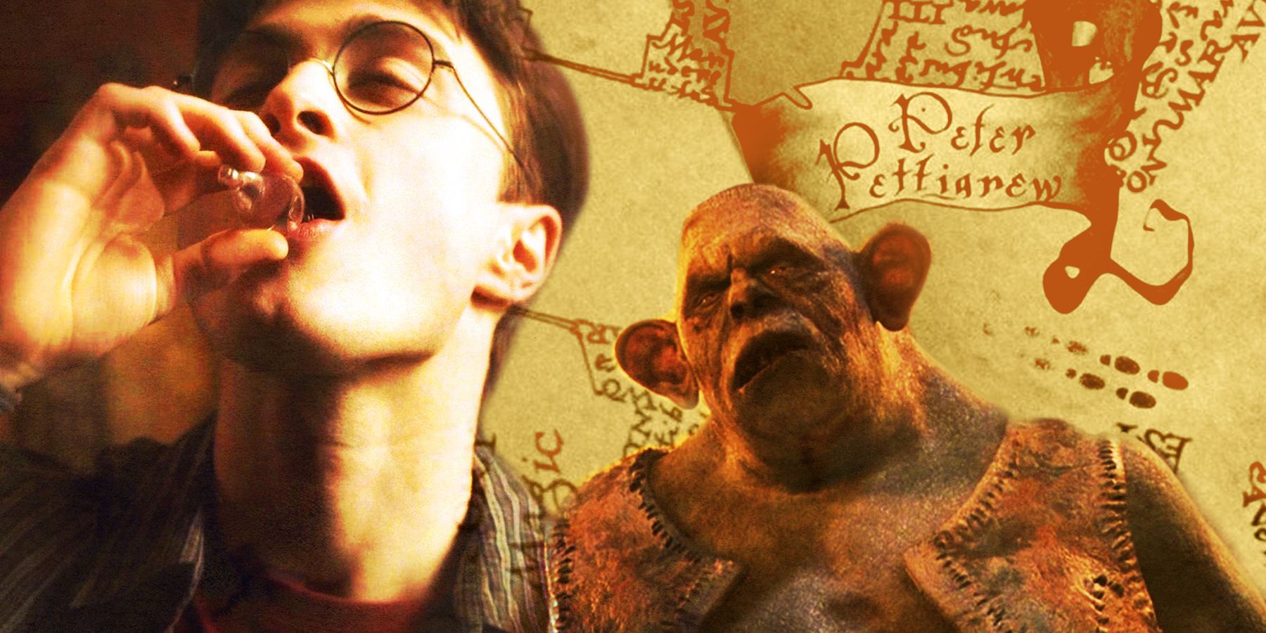 15 vacíos argumentales en la franquicia Harry Potter