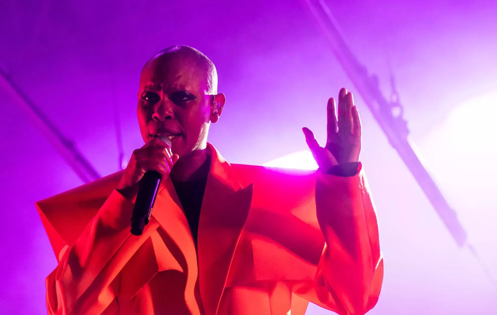 Skin, de Skunk Anansie: 