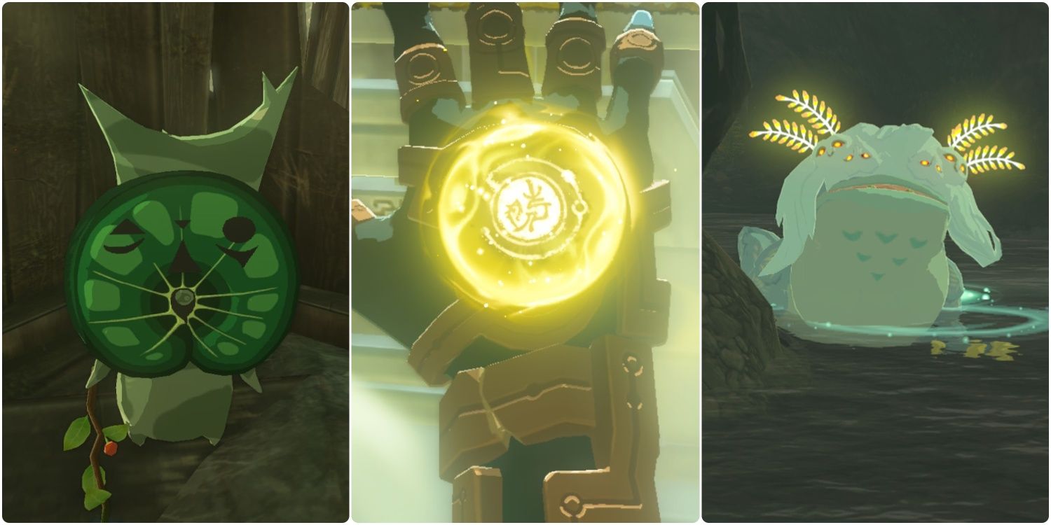 6 partes de Legend Of Zelda: Tears Of The Kingdom Lore que los jugadores pueden perderse fácilmente