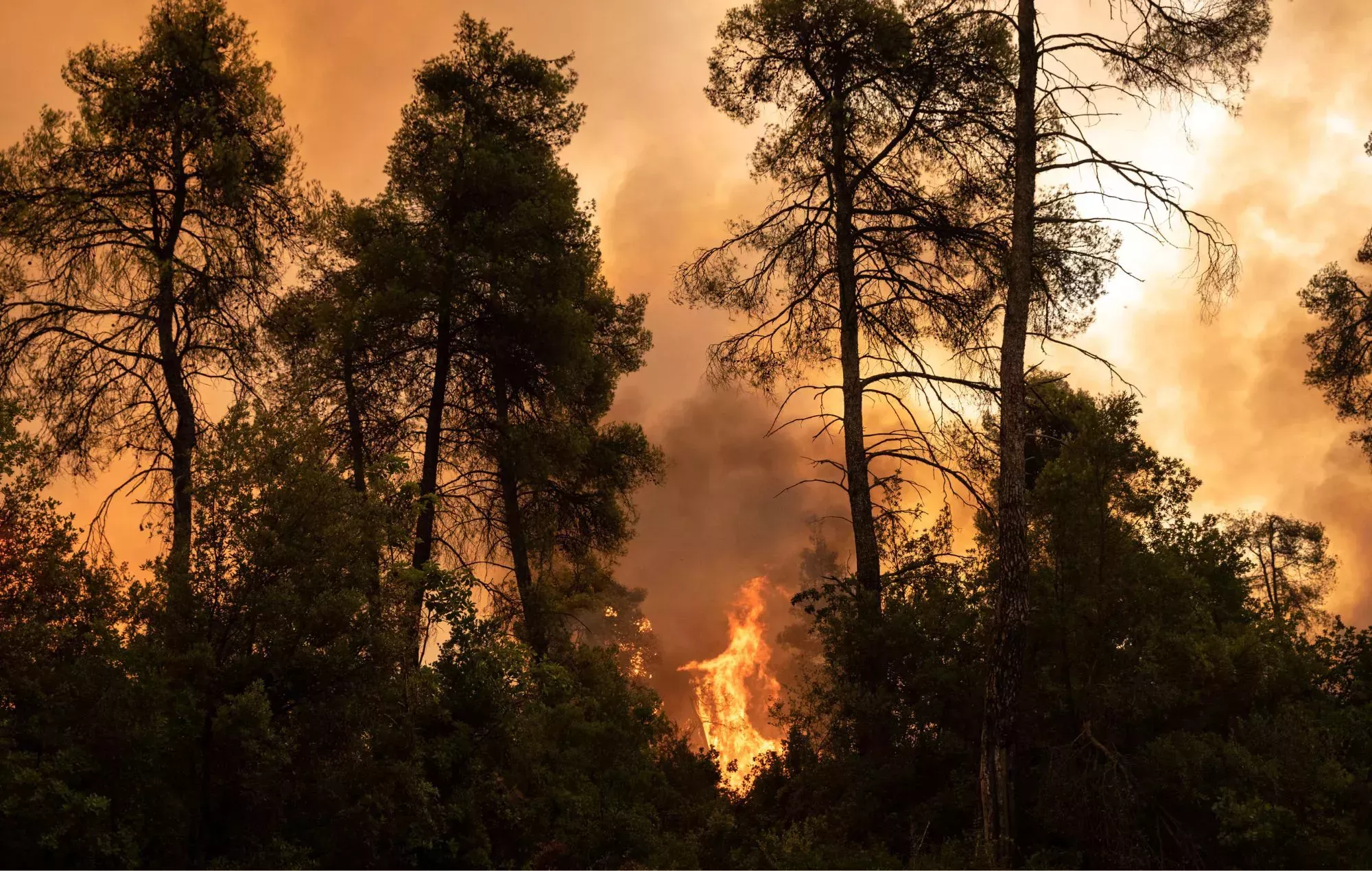 Alerta roja en Ibiza y Baleares por incendios forestales