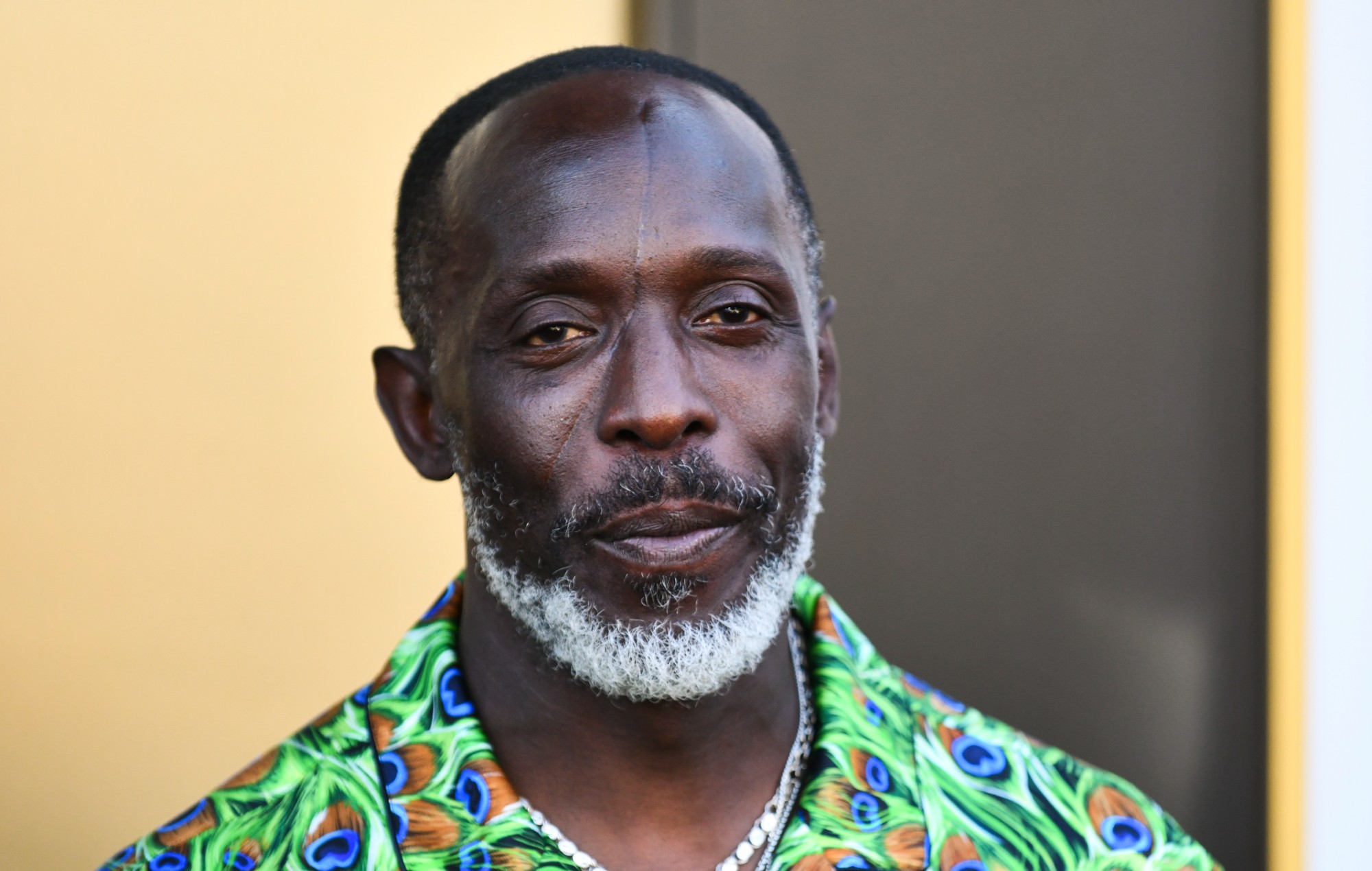 Condenado a 10 años de cárcel el traficante que vendió a Michael K. Williams una dosis mortal de heroína
