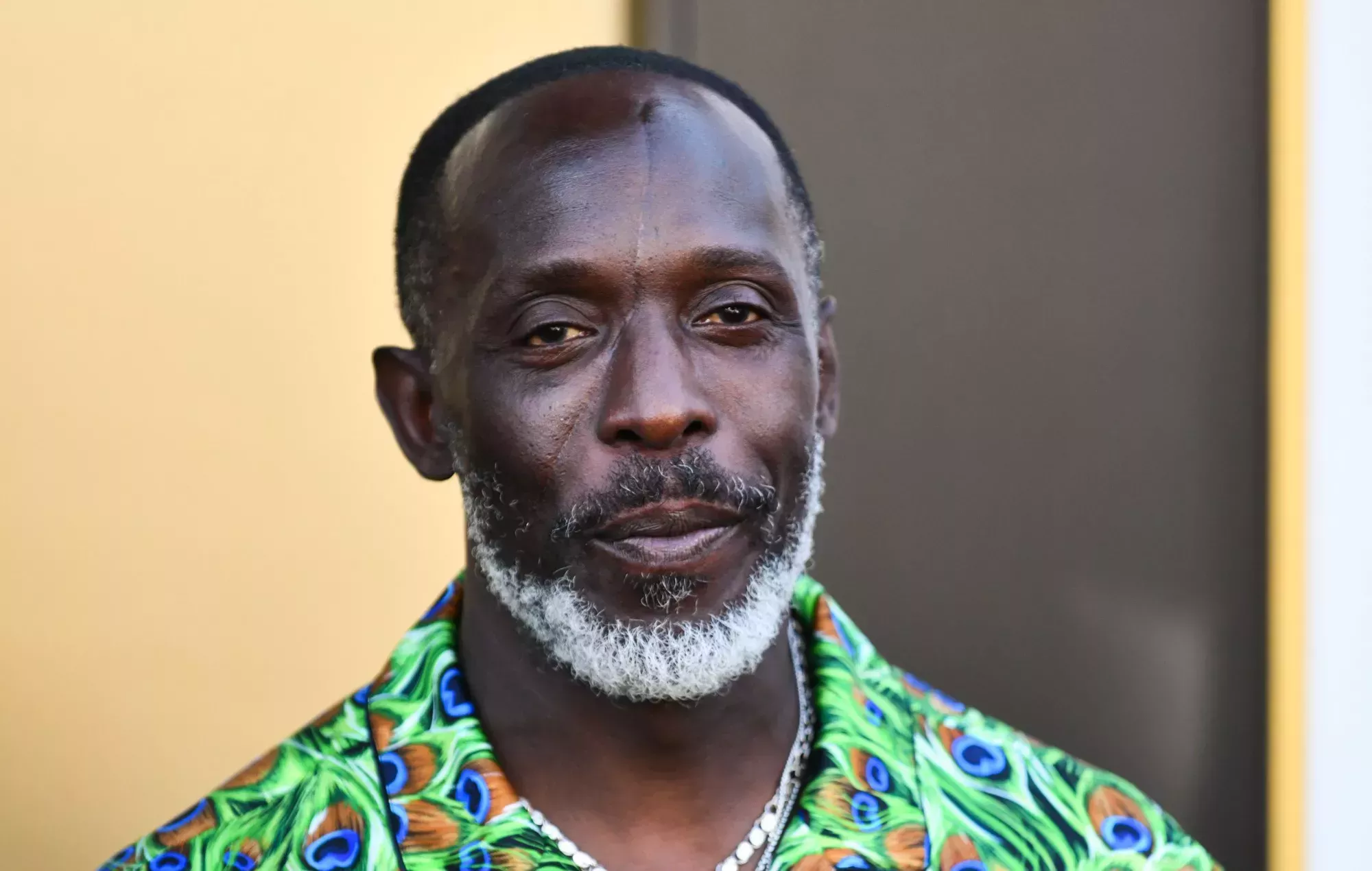 Condenado a 10 años de cárcel el traficante que vendió a Michael K. Williams una dosis mortal de heroína