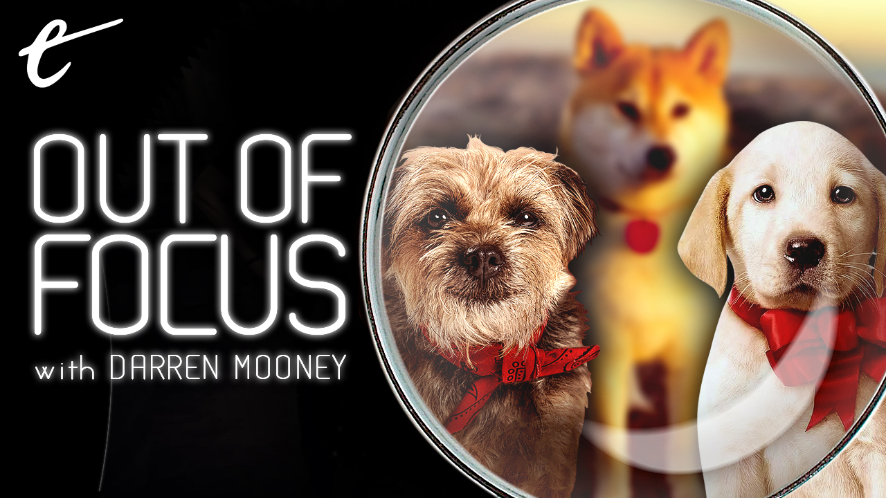 Strays y el nuevo canon del niño bueno - El escapista