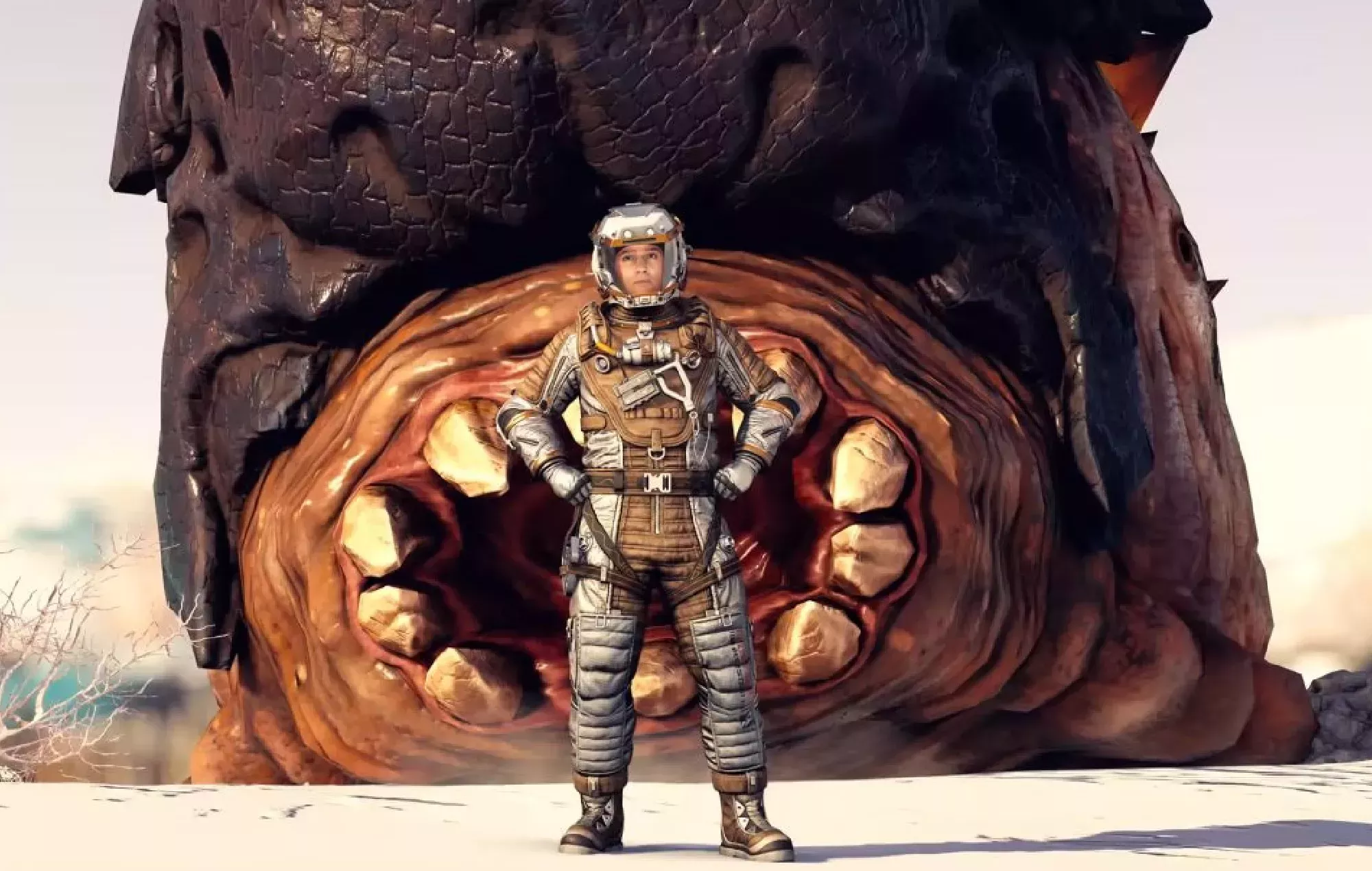 Tropecientos detalles de 