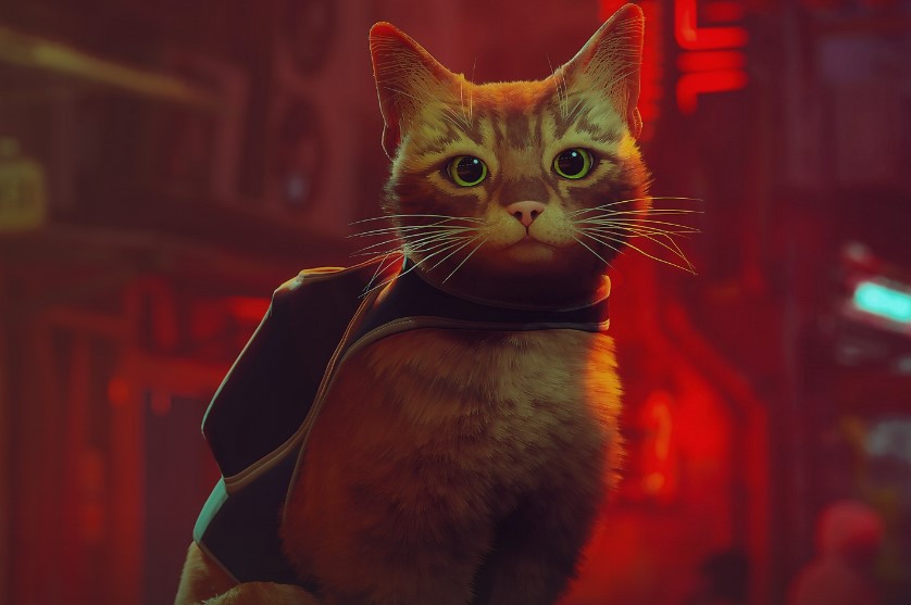 Annapurna Animation prepara la película Stray