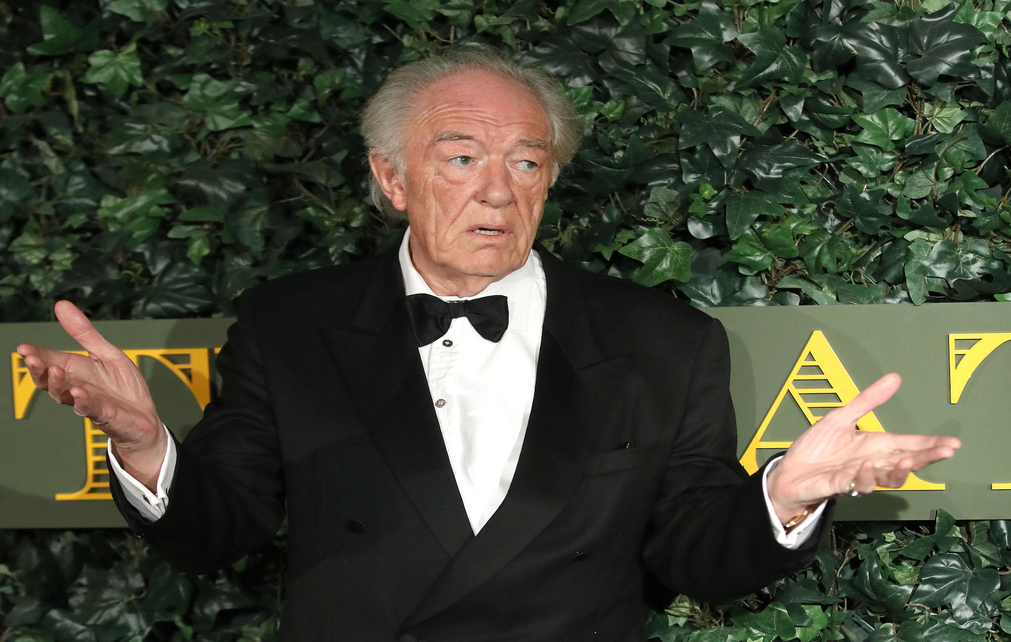 Los fans de Michael Gambon recuerdan su maleducado discurso de aceptación de los 90