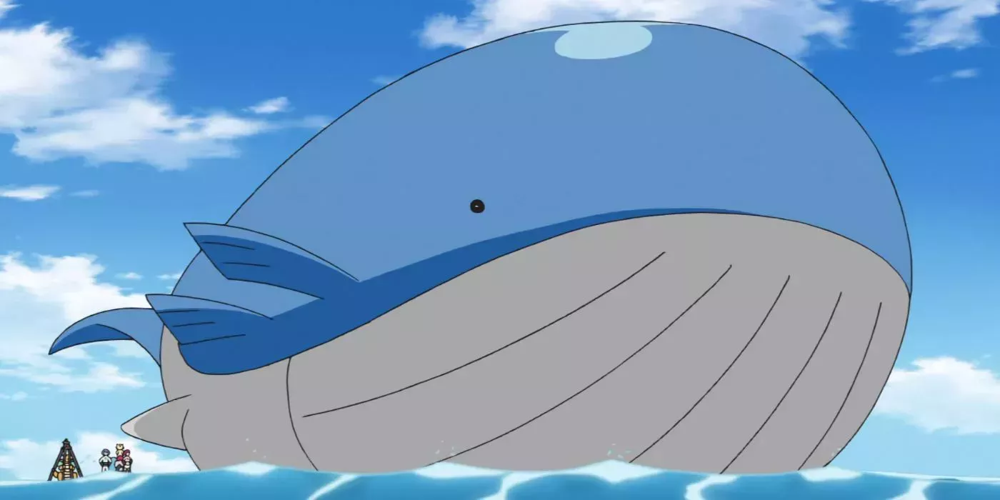 Wailord surfing in the pokemon anime