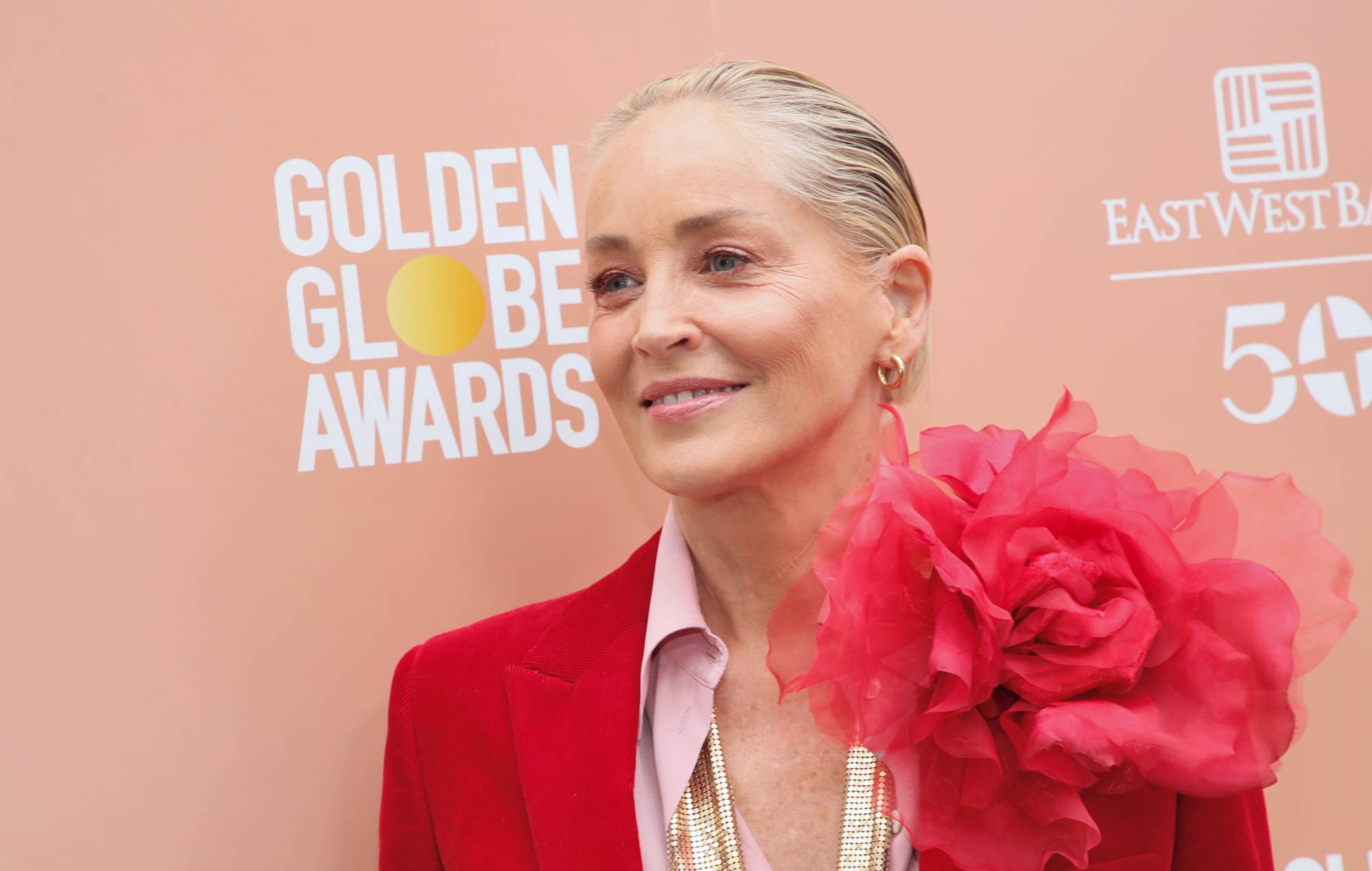 Sharon Stone afirma que los médicos pensaron que estaba "fingiendo" una hemorragia cerebral