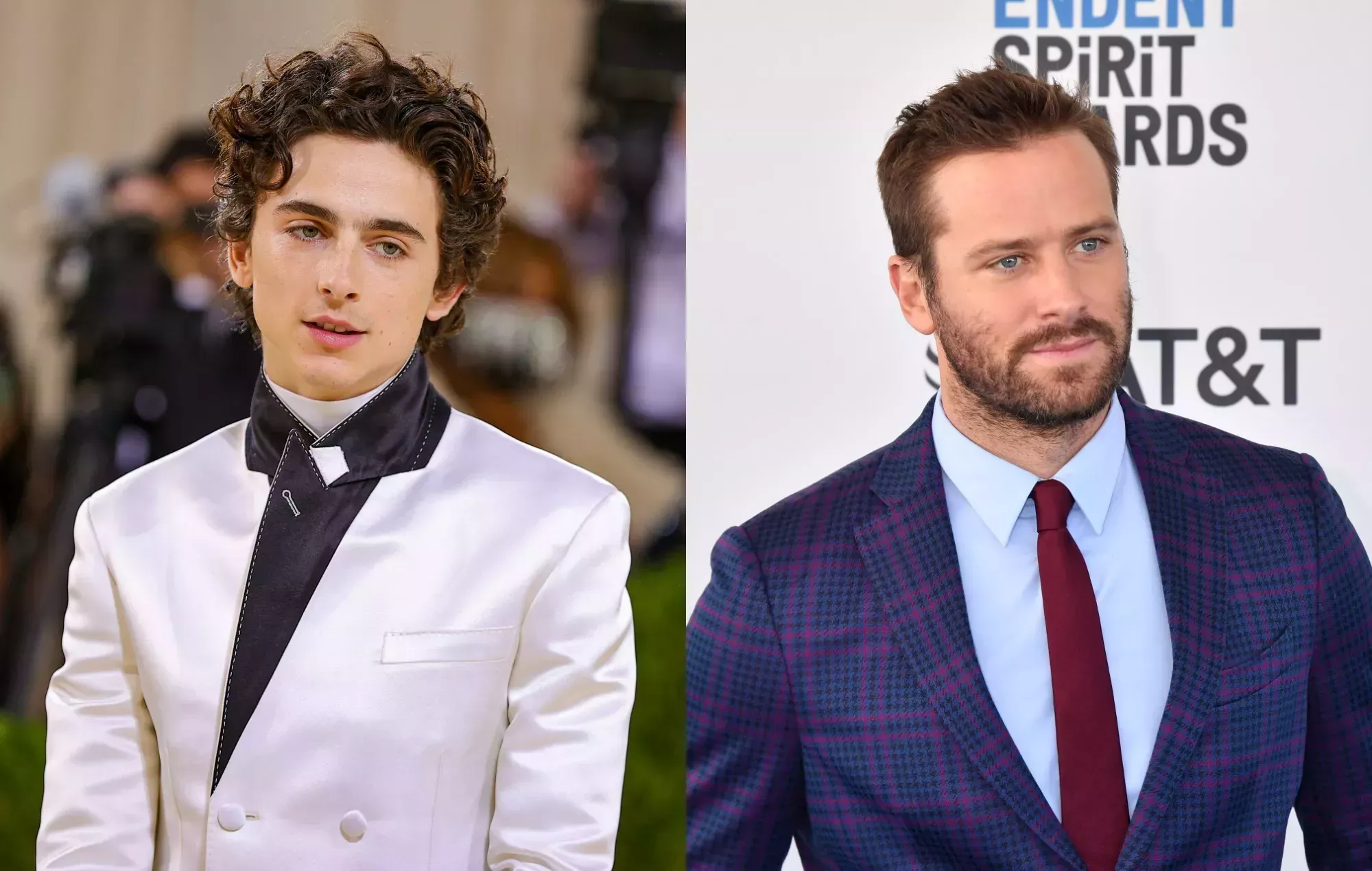 Timothée Chalamet aborda las acusaciones de canibalismo contra Armie Hammer
