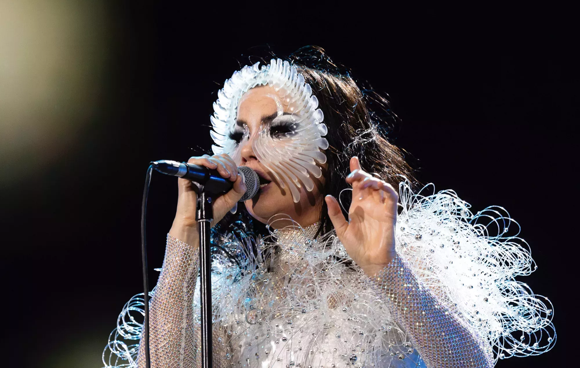Björk desvela la historia de su nuevo single 