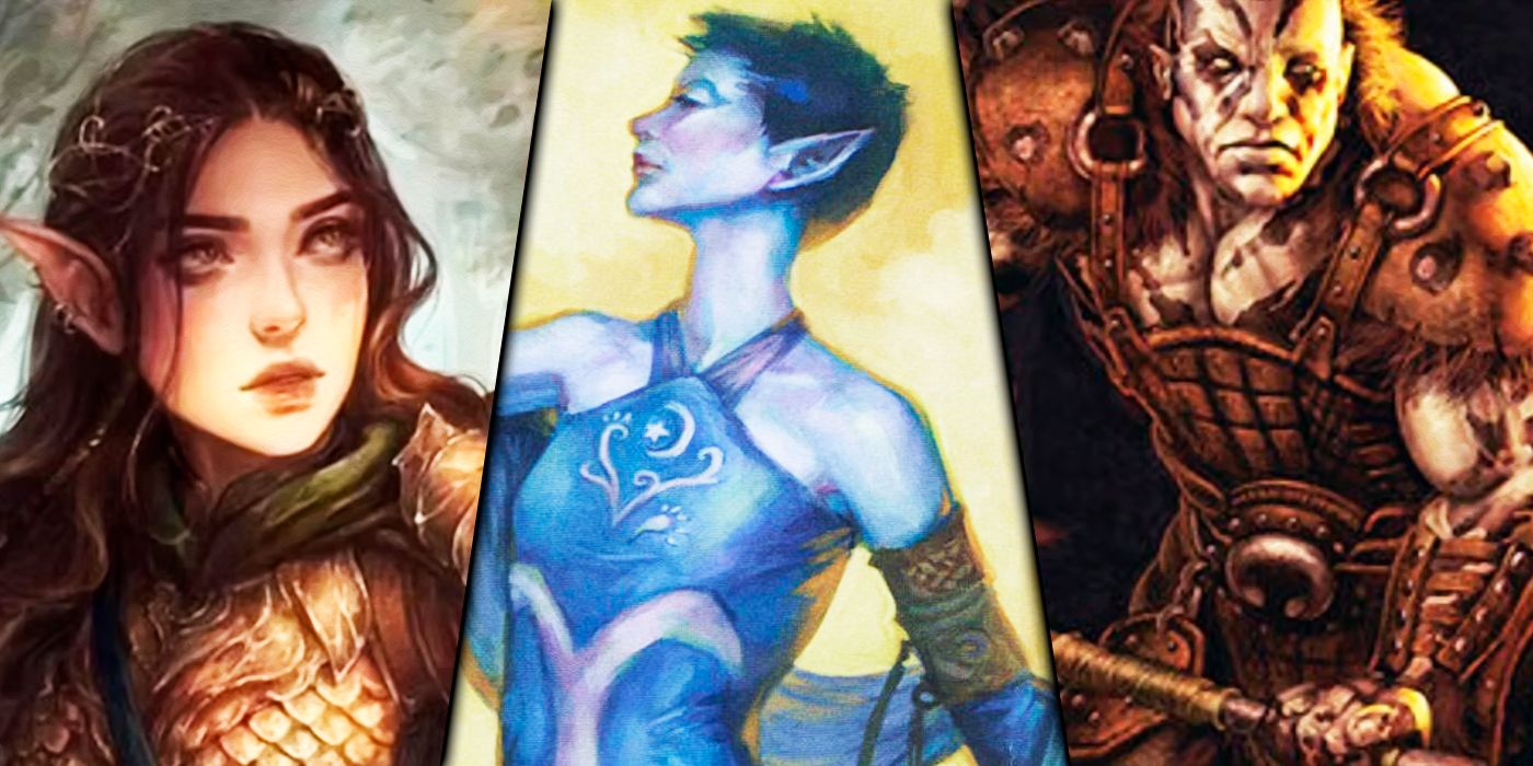 Dungeons &amp; Dragons: Las 10 mejores razas para tu próximo druida