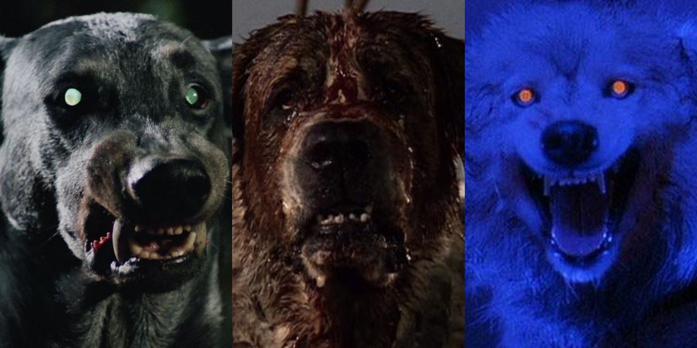 Los 10 perros más malvados del cine