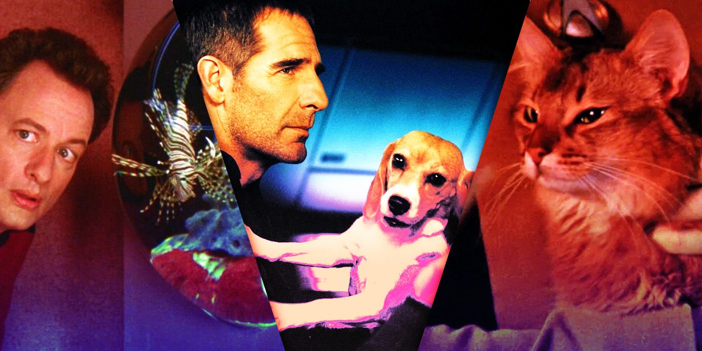 Clasificación de las mascotas famosas de Star Trek