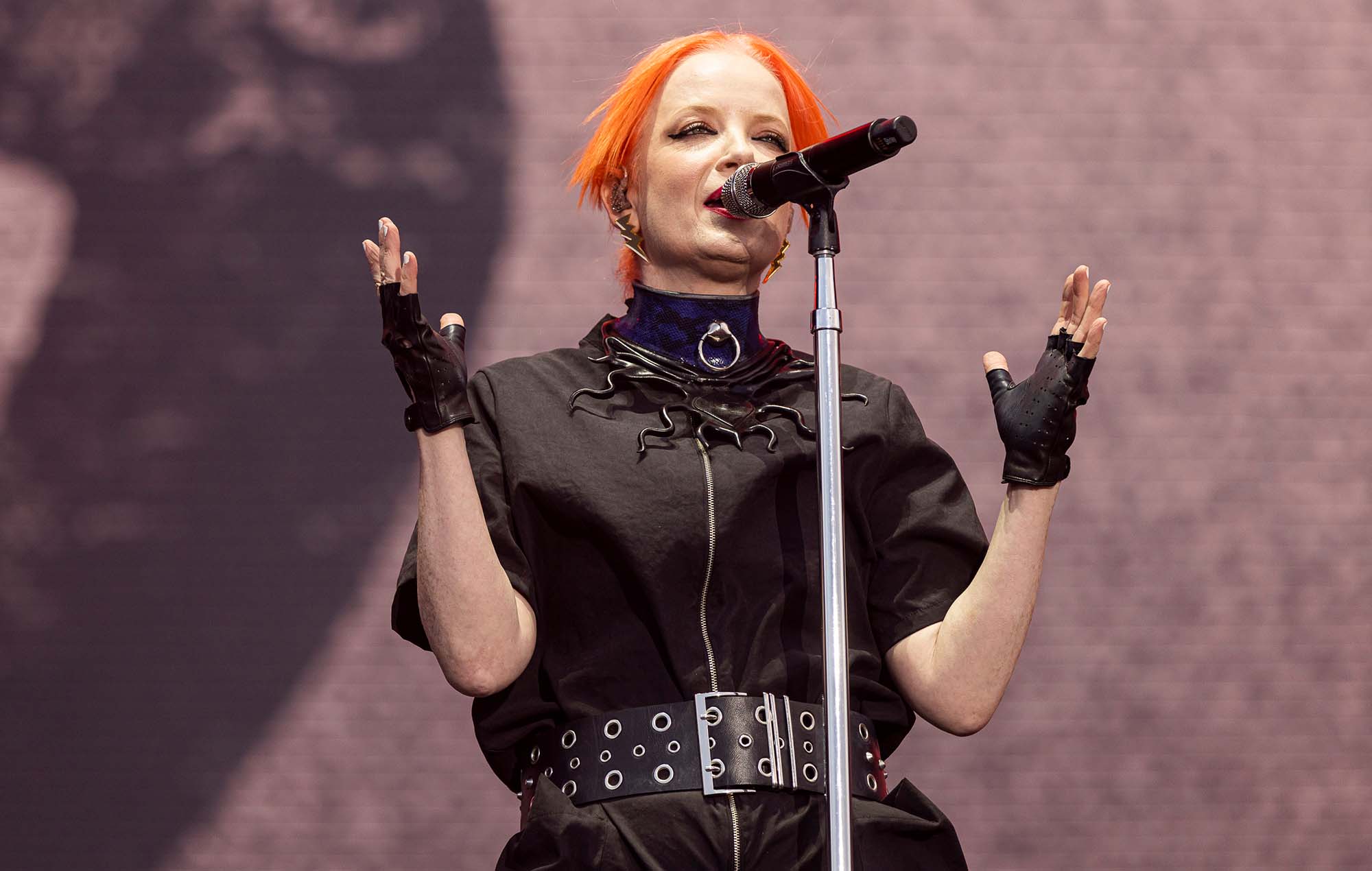 La cantante de Garbage Shirley Manson interrumpe una pelea con un vídeo NSFW