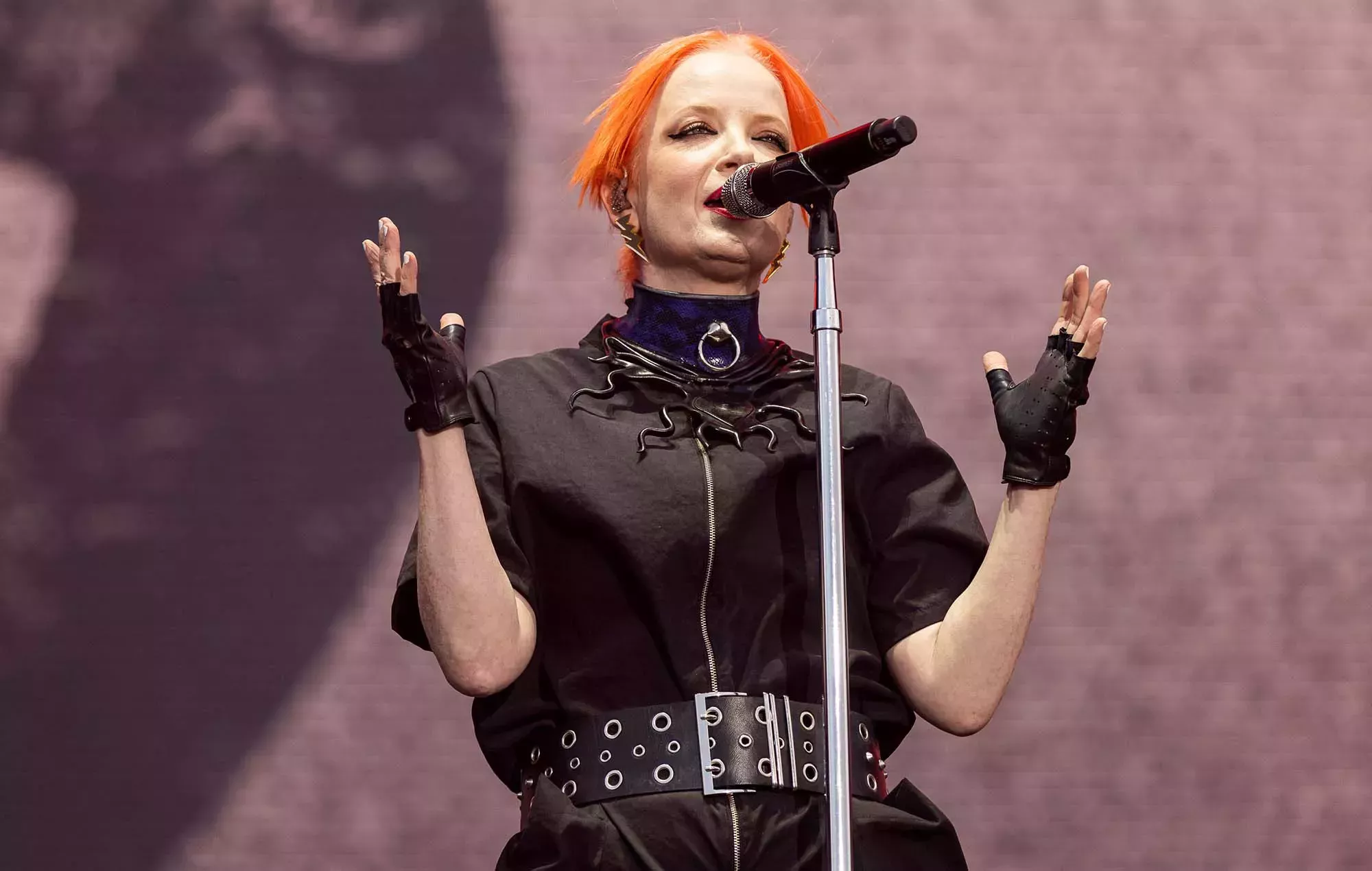 La cantante de Garbage Shirley Manson interrumpe una pelea con un vídeo NSFW