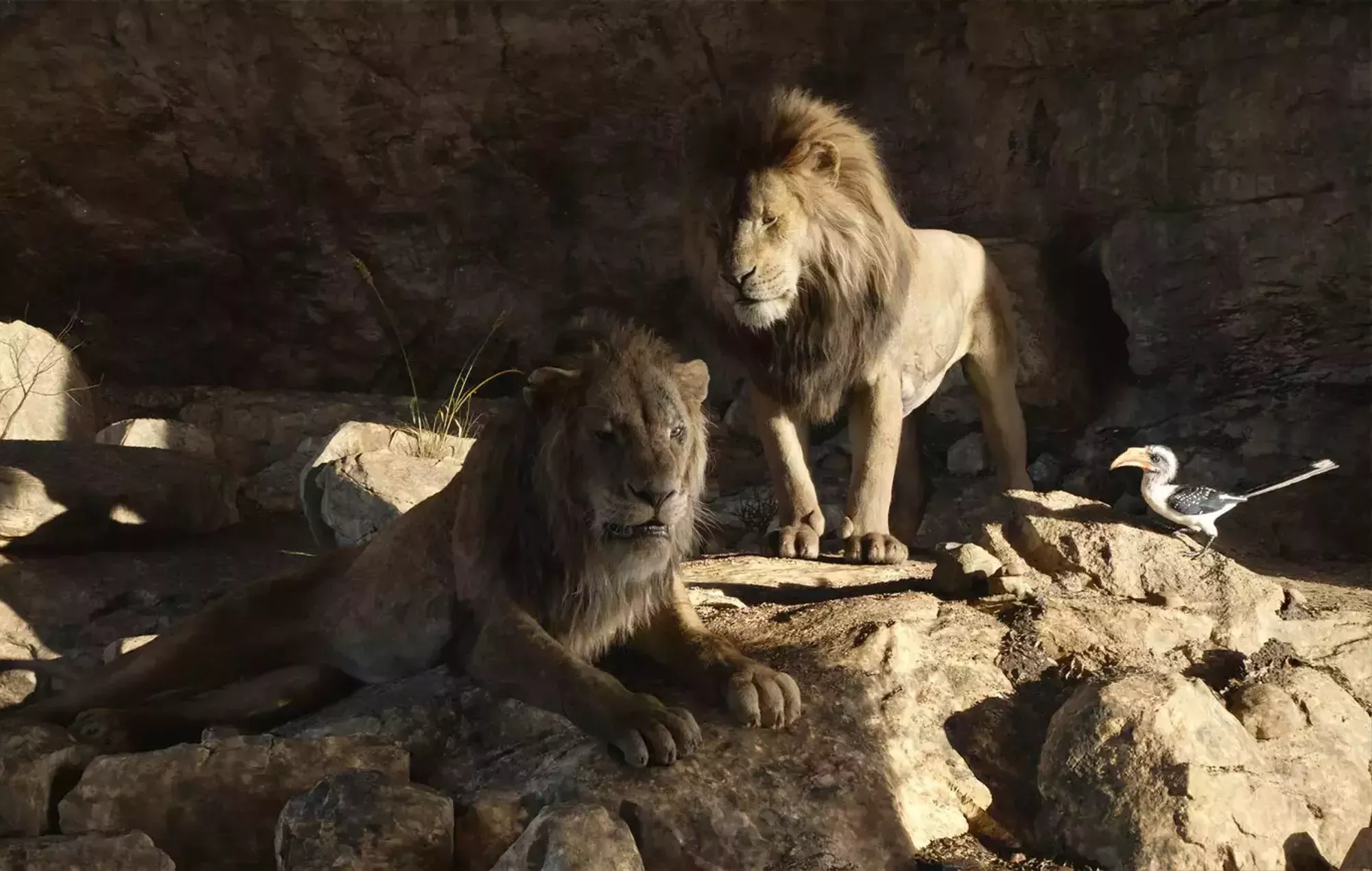 ¿Qué películas se emiten este Boxing Day?