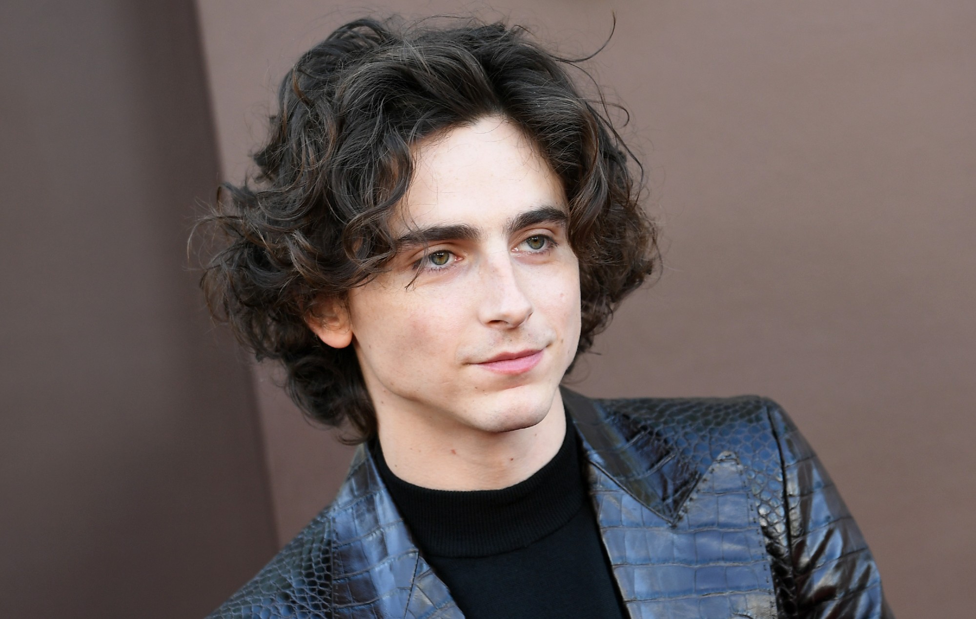 Timothée Chalamet no sabe cuál habría sido su cameo en 'Barbie'