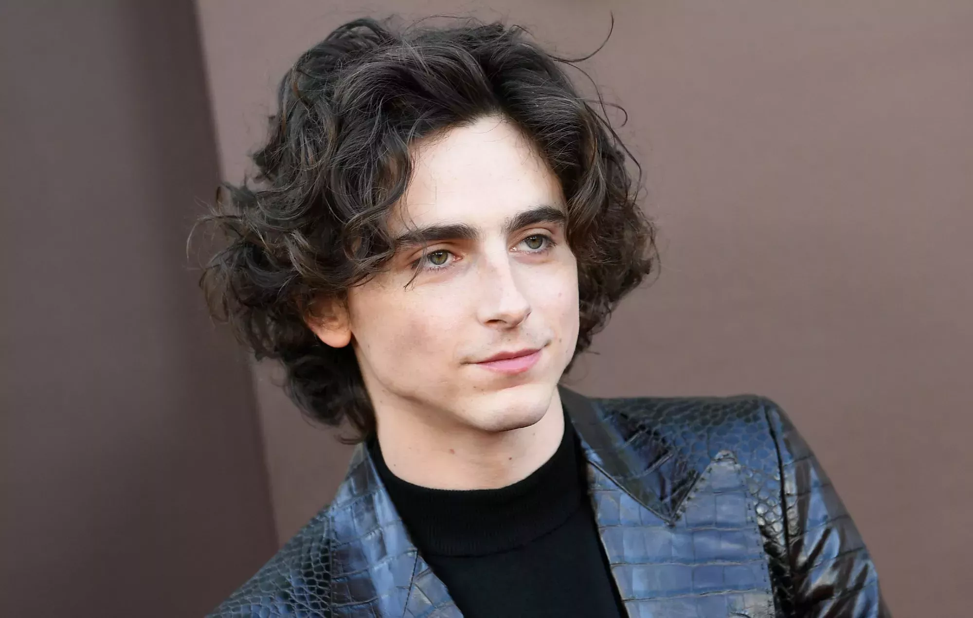 Timothée Chalamet no sabe cuál habría sido su cameo en 'Barbie'