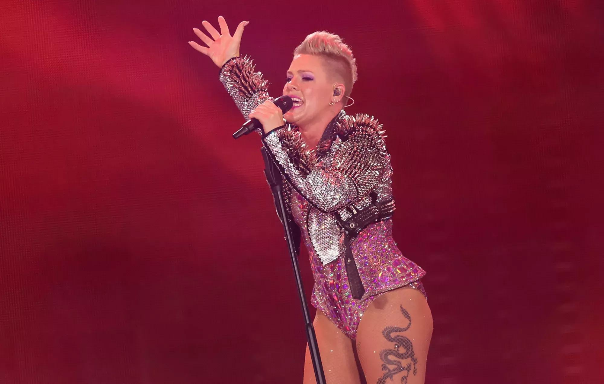 Pink interrumpe un concierto después de que una fan se pusiera de parto a mitad de canción: