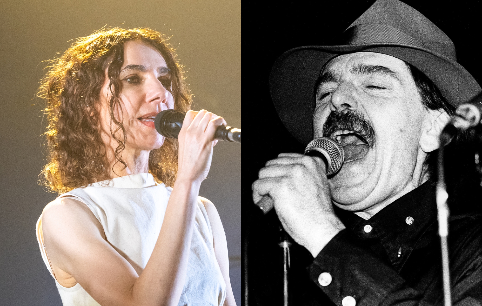 PJ Harvey recita el poema de Captain Beefheart sobre su gato