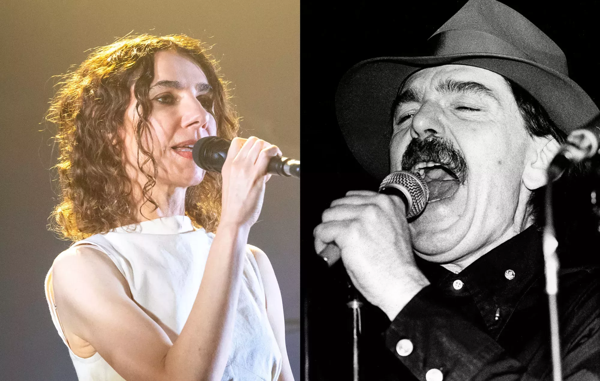 PJ Harvey recita el poema de Captain Beefheart sobre su gato