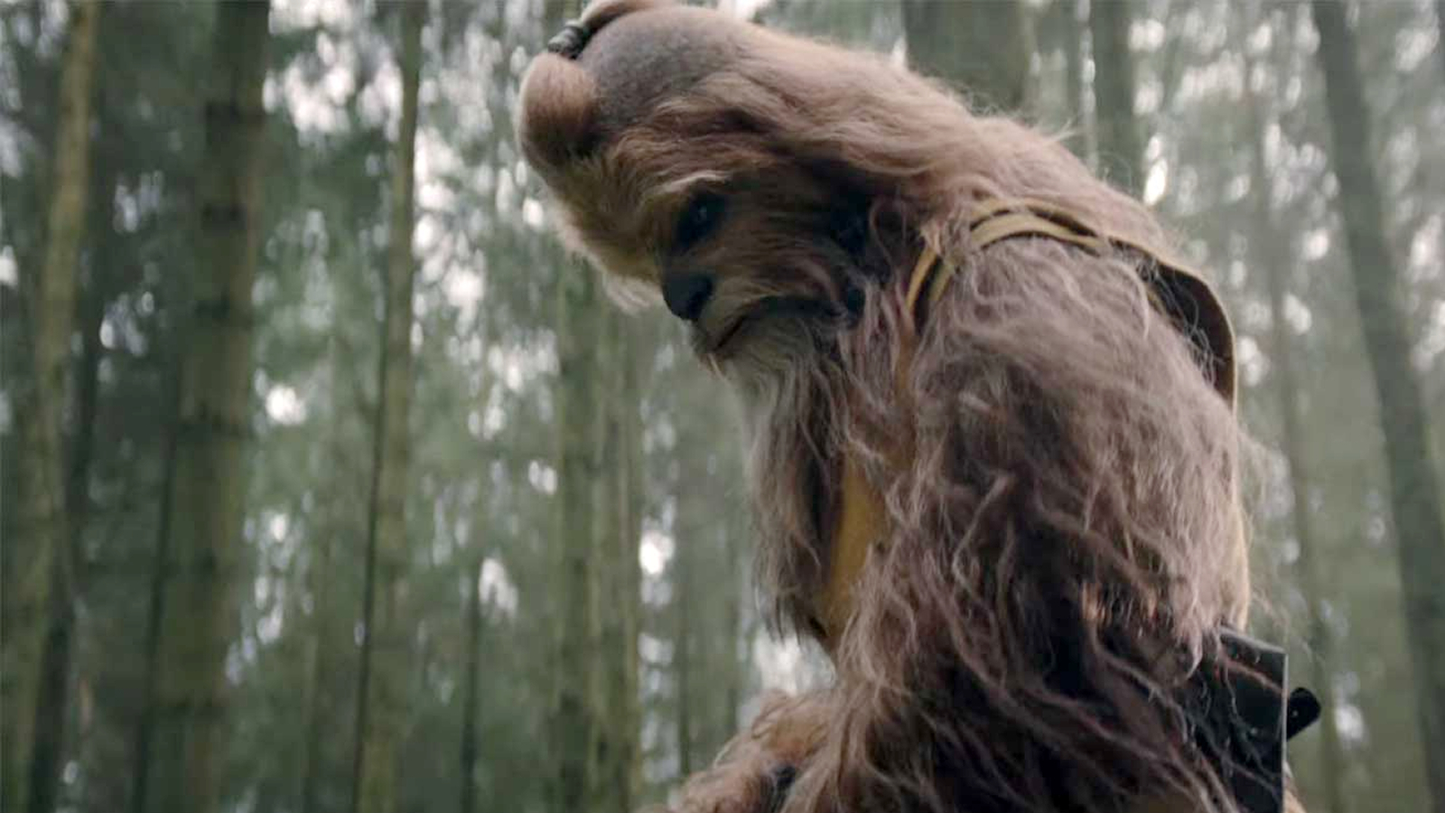 ¿Quién es Kelnacca, la Wookiee Jedi de Star Wars: El Acólito?