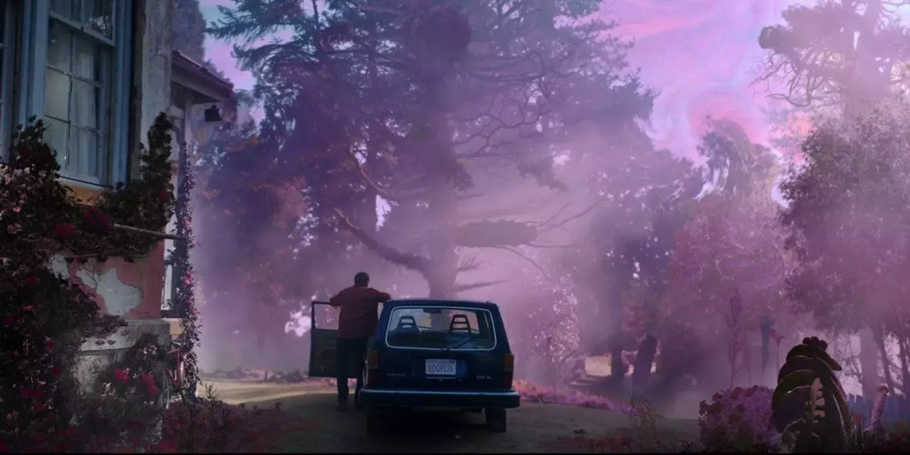 Color Out of Space header