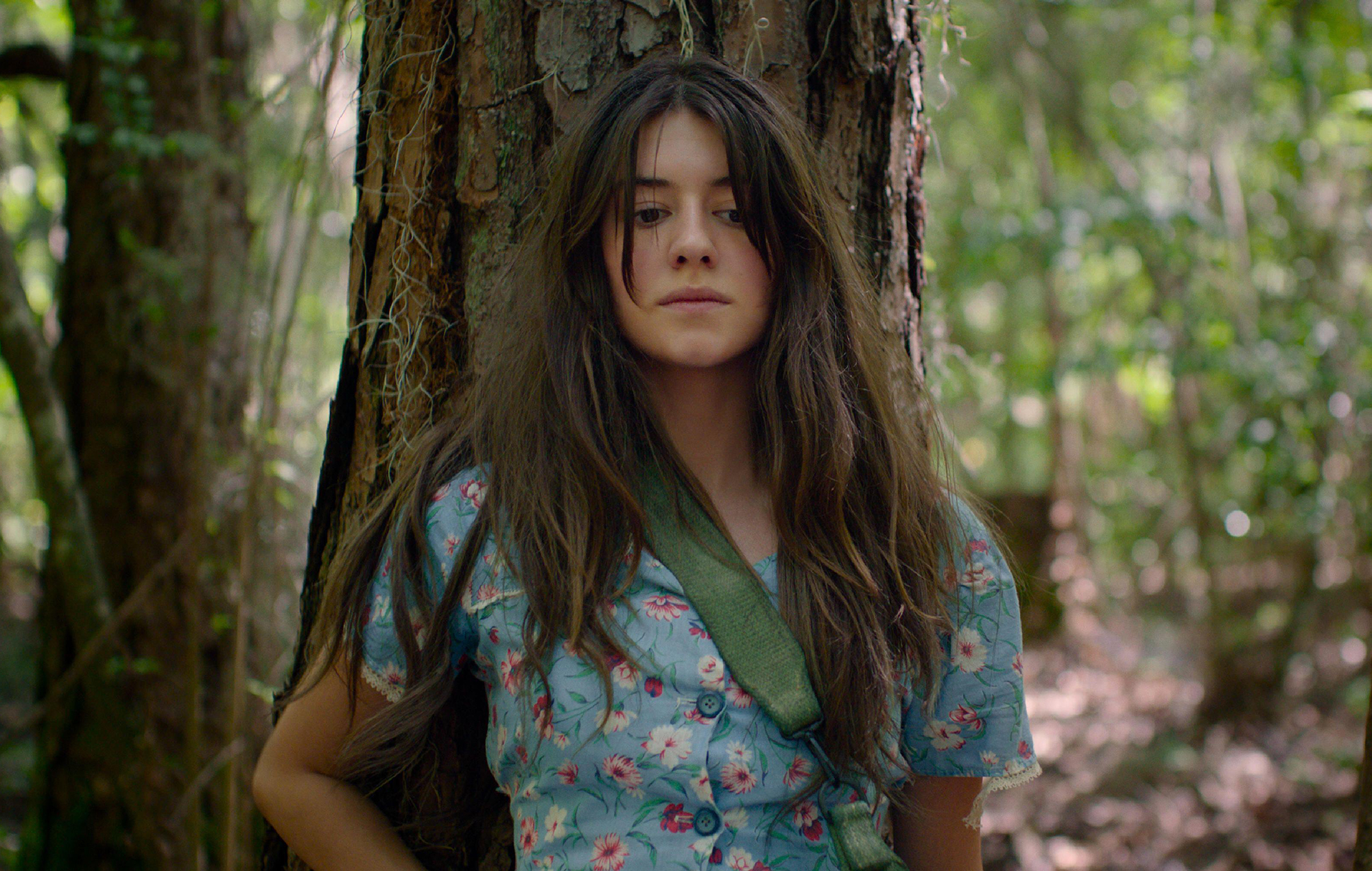 Explicación del final de "Donde cantan los cangrejos": ¿Es Kya culpable?