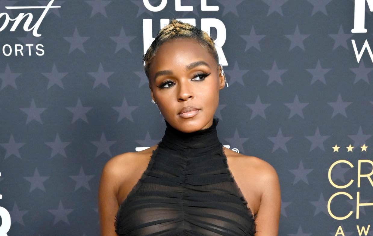 Janelle Monáe dice que elige papeles en función de las "vibraciones del vello púbico"
