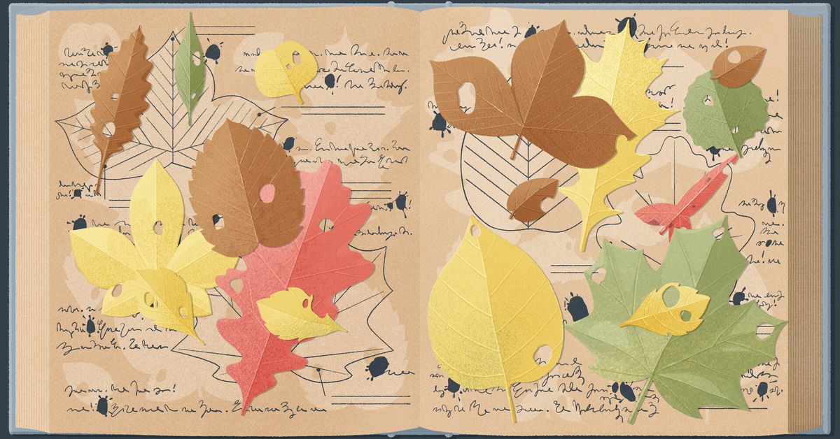 ¿Por qué no puedo saltarme los puzles que son demasiado difíciles en todos los juegos?