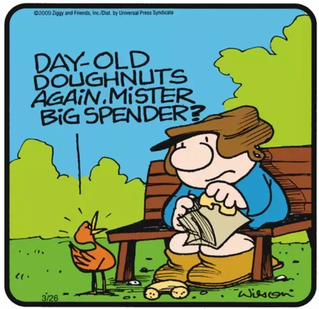 Ziggy feeds a bird day-old doughnuts