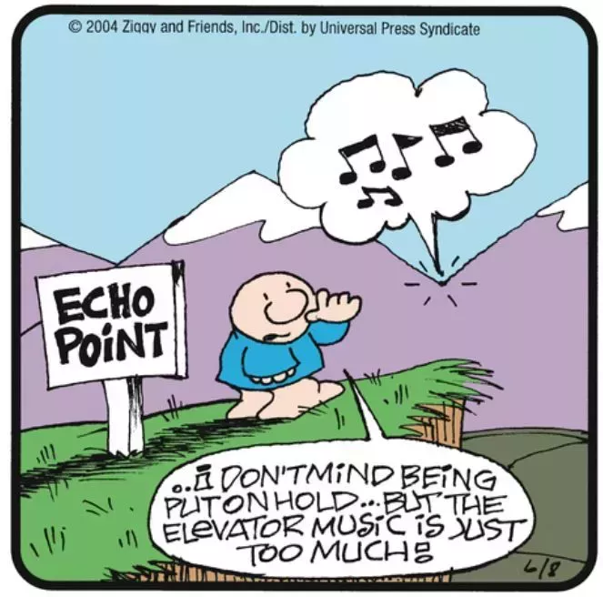 Ziggy receives hold music at echo point
