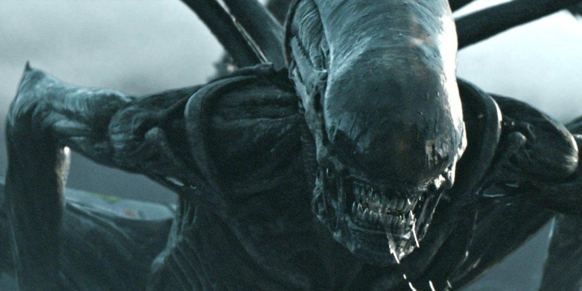 Clasificación de todos los xenomorfos de las películas de Alien