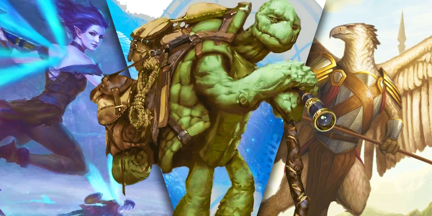 Dungeons &amp; Dragons: Las 10 mejores especies de personajes para tu próximo hechicero