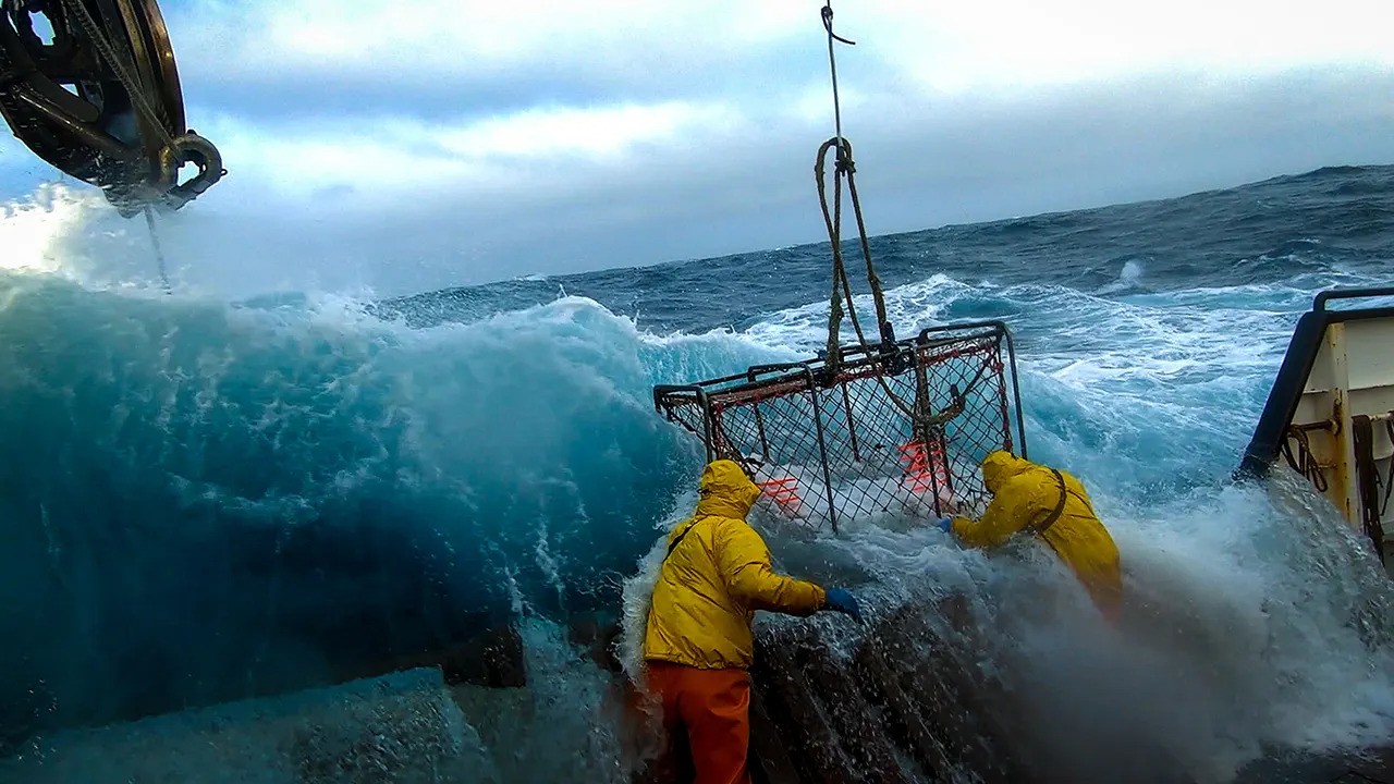 Confirmado el despido de todos los miembros del reparto de Deadliest Catch